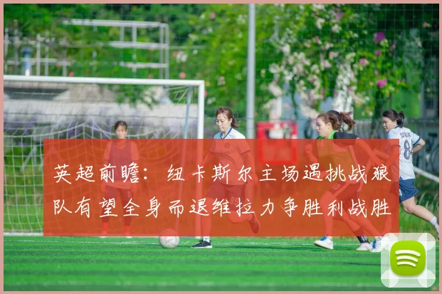 英超前瞻：纽卡斯尔主场遇挑战狼队有望全身而退维拉力争胜利战胜埃弗顿