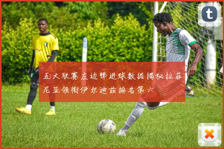 五大联赛左边锋进球数据揭秘拉菲尼亚领衔伊尔迪兹排名第六